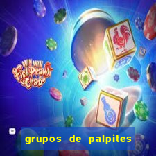 grupos de palpites de futebol whatsapp